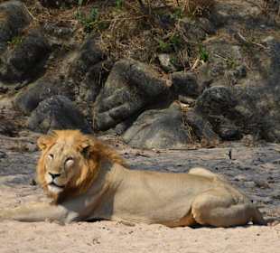 Ruaha Nationalpark