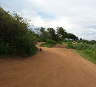 Elefantenreiten Sigiriya