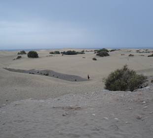 Der Weg durch die Dünen