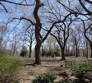 Stadtrundfahrt New York