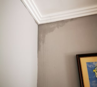 Es sind Reisende über uns eingezogen. Wenn sie duschen, läuft bei uns das Wasser an der Wand entlang.  Iberostar Origin Laguna Azul