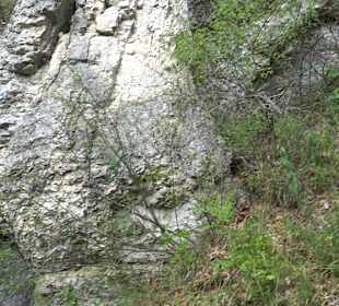 Tour entlang der Traifelbergfelsen