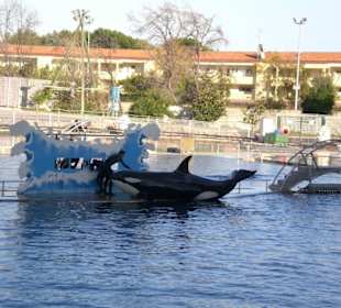 Marineland