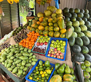 Frisches Obst als Stärkung