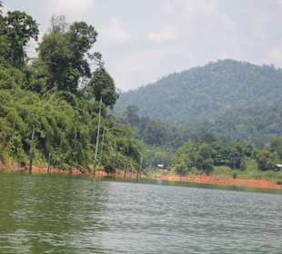 Dschungel- und Bootstour