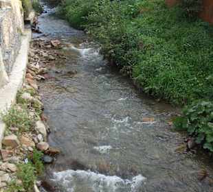 Parcul Natural Apuseni