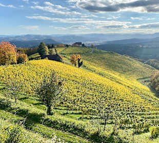 Wandern Kitzeck im Sausal