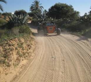 Buggyrundfahrt mit Buggy Evasion