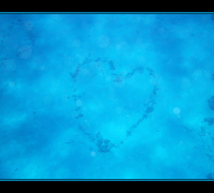 Delphintour 02.05.2012