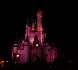 Cinderella Castle