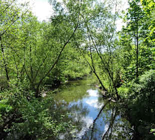 Auenlandschaft der Böhme am Klostersee
