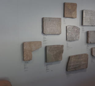 Rheinisches Landesmuseum