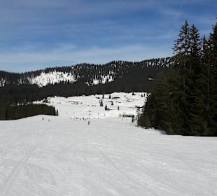 Skigebiet Winklmoosalm/Steinplatte
