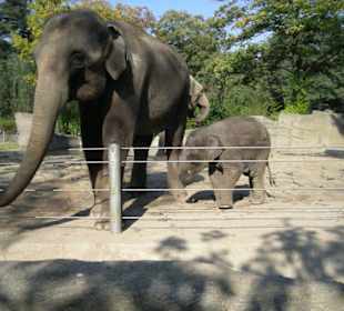 Tierpark und das neue Tropen-Aquarium