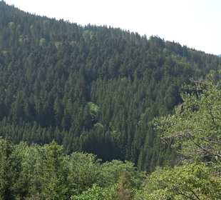 Teufelskanzelsteig Bad Griesbach