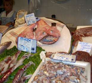 Fische