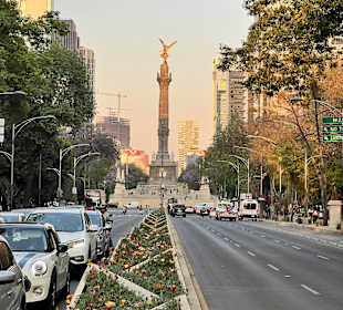 Zentrum Mexico City