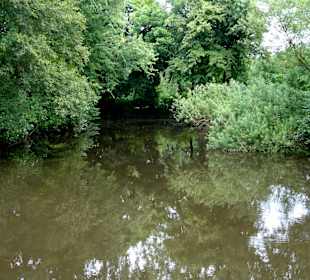 Spaziergang durch das Schönebecker Auetal