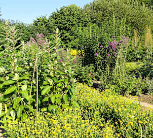 Impressionen aus dem Botanischen Garten