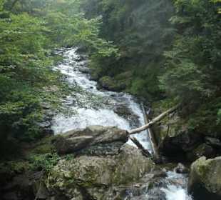 Bei den Rißlochwasserfällen