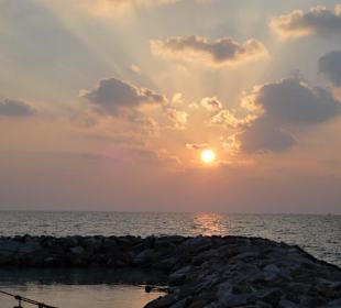 Sonnenuntergang am Hafen