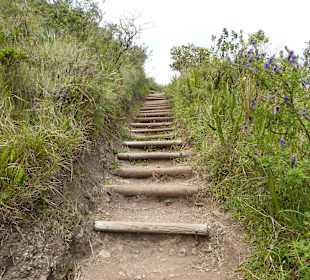 Viele Stufen muß man steigen