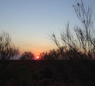 Ayers Rock / Uluru