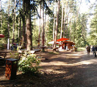 Neues im Kletterwald 09-2012