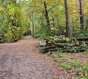 Weg zum Gehege