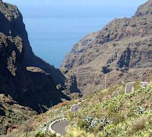 Teneriffa / Masca Schlucht
