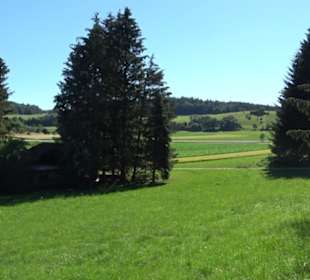 Waldameisen-LehrPfad