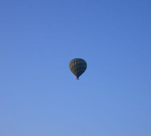 ...die habens gut...