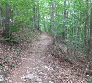 Hochgeträumt Premiumwanderung