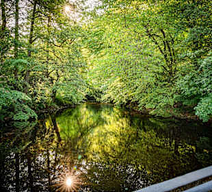 Wandern Bad Lauterberg