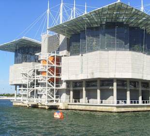 Aquarium von Lissabon