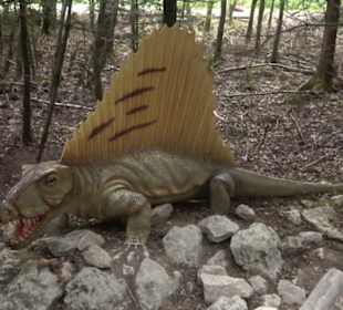 Dinosaurier Museum Altmühltal