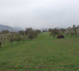 Kirschenweg