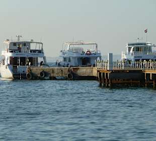 Unser Boot "Abu Mosad" (rechts)