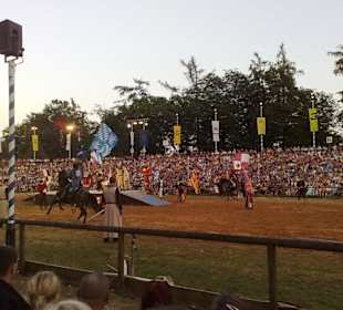 Kaltenberger Ritterturnier 2010