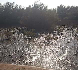 Fahrradausflug in die Wüste