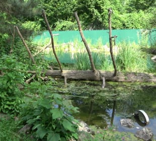 Zoo Heidelberg