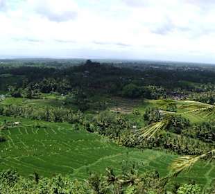 Impressionen aus Bali