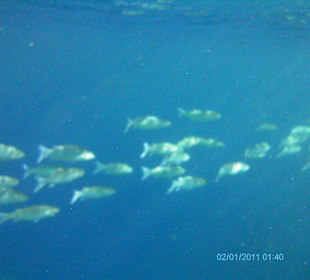 Sharm el Naga