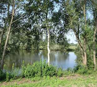 Tour durch den sommerlichen Park Links der Weser