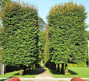 Impressionen aus dem Schlosspark Hellbrunn