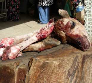 Mittwochsmarkt in Zarzis