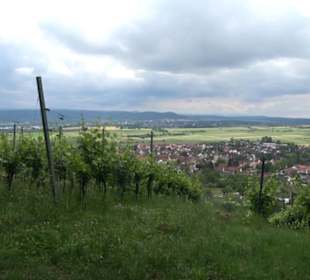 Wanderweg - Alter Steinbruch Pfaffenberg Runde