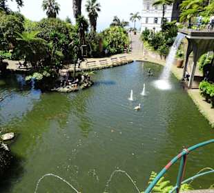 Eindrücke aus dem Monte Palace Tropical Garden