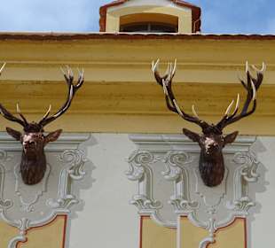 Schloss Moritzburg