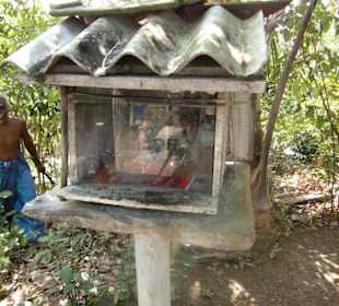 Bewohner der Zimtinsel